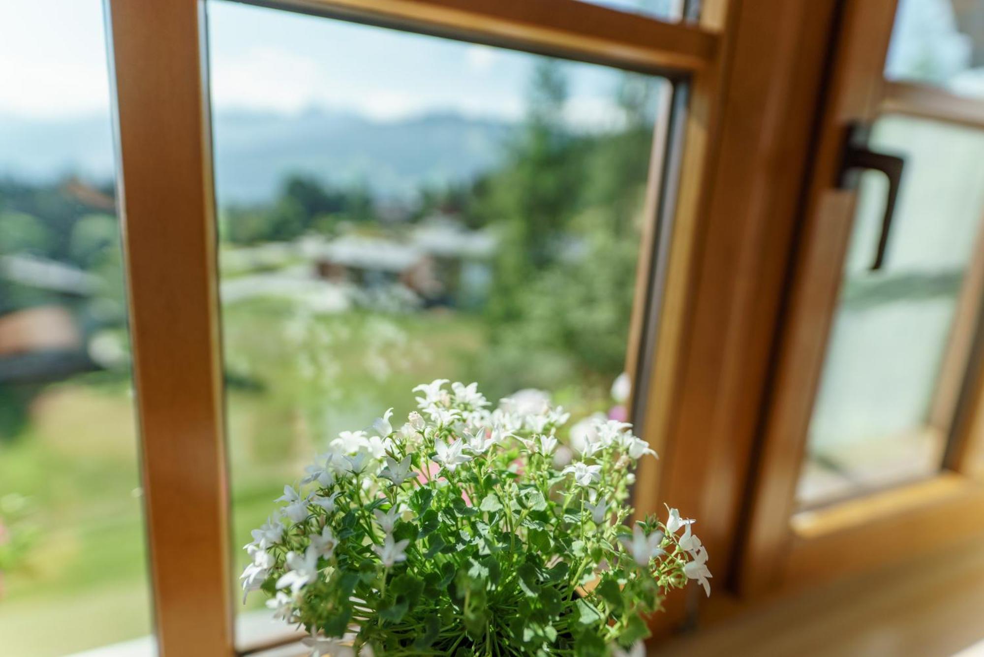 Birgbichler - In - Inklusive Sommercard! Appartement Ramsau am Dachstein