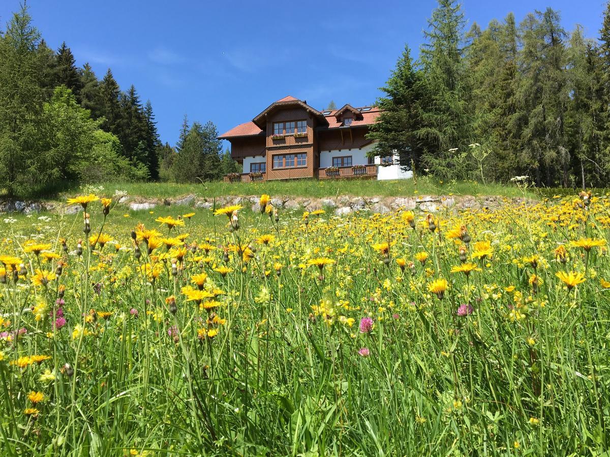 Birgbichler - In - Inklusive Sommercard! Appartement Ramsau am Dachstein
