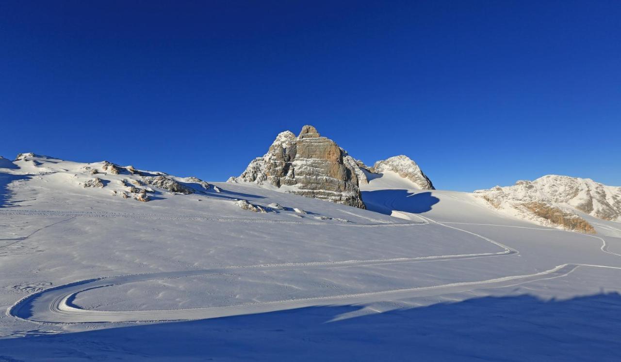Birgbichler - In - Inklusive Sommercard! Ramsau am Dachstein